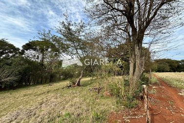 Ch&aacute;cara &agrave; venda - 49040m&sup2; - OURO PRETO