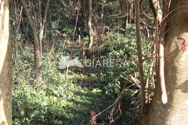Ch&aacute;cara &agrave; venda - 20166m&sup2; - ZONA RURAL