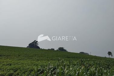 S&iacute;tio &agrave; venda - 24500m&sup2; - DOIS IRM&Atilde;OS
