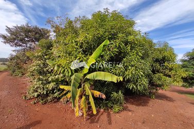 S&iacute;tio &agrave; venda - 180m&sup2; - DEZ DE MAIO