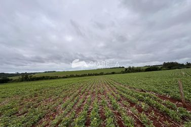 Ch&aacute;cara &agrave; venda - 36000m&sup2; - ZONA RURAL