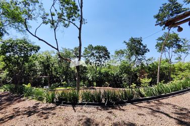 Ch&aacute;cara &agrave; venda - 20000m&sup2; - QUATRO PONTES