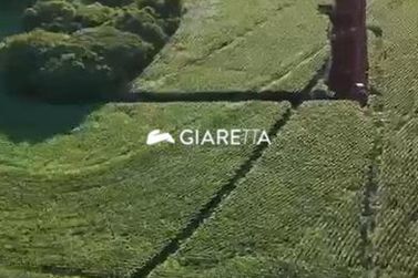 Ch&aacute;cara &agrave; venda - 20500m&sup2; - ZONA RURAL