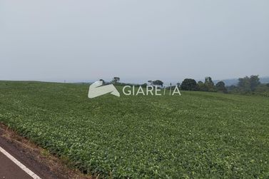 S&iacute;tio &agrave; venda - 24500m&sup2; - DOIS IRM&Atilde;OS