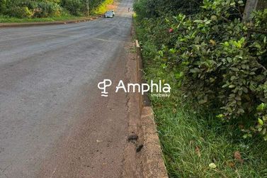 Terreno &agrave; venda - 500m&sup2; - Ip&ecirc;