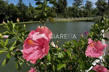 Ch&aacute;cara para alugar - 194m&sup2; - ZONA RURAL