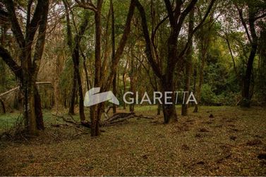 Ch&aacute;cara &agrave; venda - 11000m&sup2; - JARDIM CONCORDIA