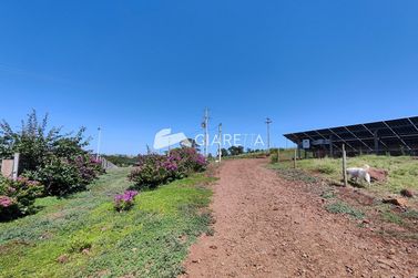 Ch&aacute;cara &agrave; venda - 20000m&sup2; - QUATRO PONTES