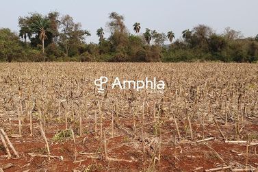 Ch&aacute;cara &agrave; venda - 5000m&sup2; - Interior