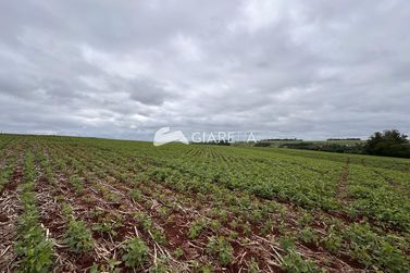 Ch&aacute;cara &agrave; venda - 36000m&sup2; - ZONA RURAL