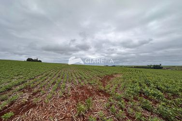 Ch&aacute;cara &agrave; venda - 36000m&sup2; - ZONA RURAL
