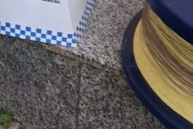 PM APREENDE 16 CARRET&Eacute;IS DE LINHA CHILENA EM AREAL