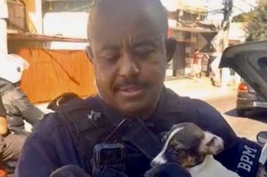 Tr&ecirc;s pessoas s&atilde;o presas por maus-tratos a animais no bairro Purys