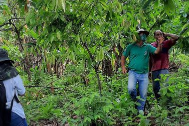 Emater impulsiona agricultura familiar em Goianésia do Pará