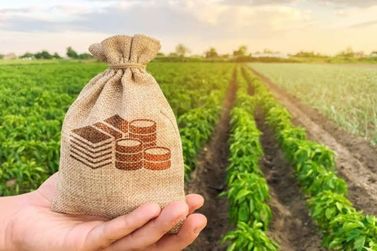 Agronegócio brasileiro exportou US$ 148 bilhões em 2022
