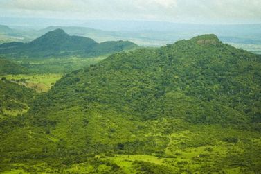 Pará registra queda de 59% nos alertas de desmatamento no mês de março