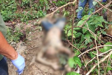 Investigação em curso: Duplo homicídio abala Comunidade Rural no Pará