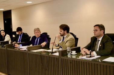 CCJRF da Alepa aprova 32 proposições em reunião presidida por Eraldo Pimenta