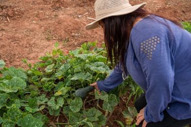Paraná Mais Orgânico amplia participação de agricultores na região de Umuarama