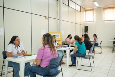 Agência do Trabalhador oferta quase 300 vagas nesta quinta-feira em Umuarama