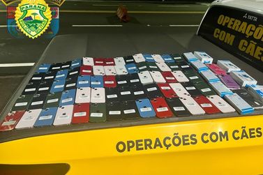 Polícia apreende 70 iPhones com passageiro de ônibus, em Cruzeiro do Oeste