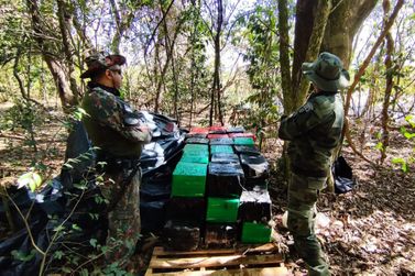 Polícia Ambiental do PR e MS apreendem quase uma tonelada de maconha em Icaraíma