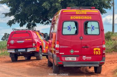 Idoso &eacute; atacado por cachorro em estrada rural pr&oacute;xima &agrave; Serra dos Dourados
