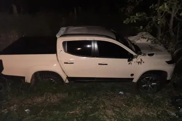Caminhonete bate em &aacute;rvore ap&oacute;s sair da pista entre Umuarama e Maria Helena