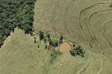 Fazenda &eacute; autuada por danos ambientais em &aacute;rea de preserva&ccedil;&atilde;o em Maria Helena