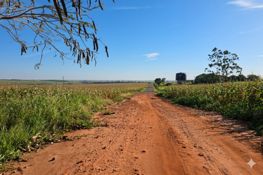 Francisco Alves ter&aacute; estrada rural pavimentada com investimento estadual