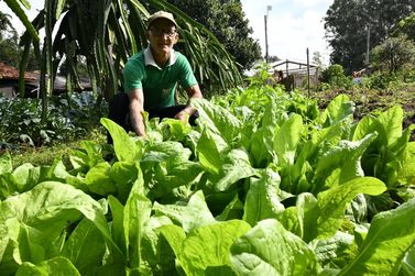 Agricultura org&acirc;nica ganha espa&ccedil;o e fortalece produ&ccedil;&atilde;o sustent&aacute;vel em Umuarama