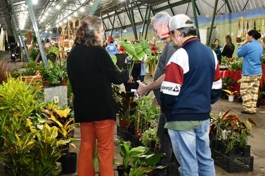 Feira especial com presentes e atra&ccedil;&otilde;es est&aacute; aberta neste s&aacute;bado e no domingo