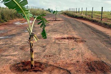 Moradores reclamam da situa&ccedil;&atilde;o prec&aacute;ria da Estrada Lontra, que liga Xambr&ecirc; a P&eacute;rola