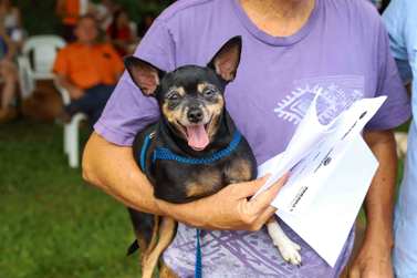 Prefeitura de Perobal abre inscri&ccedil;&otilde;es para castra&ccedil;&atilde;o gratuita de c&atilde;es e gatos