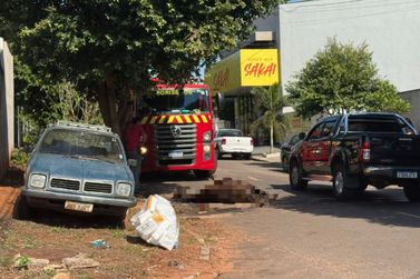 Acidente com asno durante transporte mobiliza Corpo de Bombeiros em Umuarama