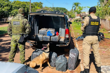 Em a&ccedil;&atilde;o integrada, pol&iacute;cias apreendem quase 180 kg de maconha em Ipor&atilde;