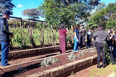 Horto Medicinal recebe estudantes de Alt&ocirc;nia para atividades de educa&ccedil;&atilde;o ambiental