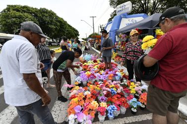 Entenda: Pesquisa do Procon aponta variação de até 187% nos preços de flores para o Dia de Finados