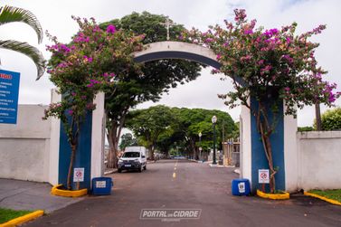 Fique por dentro: Procon orienta consumidores sobre compras e prevenção &agrave; dengue no Dia de Finados