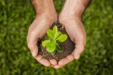 UEM e IFPR de Umuarama est&atilde;o com inscri&ccedil;&otilde;es abertas para mestrado em Sustentabilidade