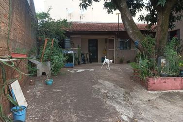 Sal&atilde;o Comercial &agrave; venda - 525m&sup2; - Zona VI