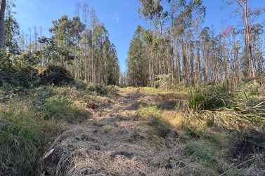 Fazenda &agrave; venda - 27383m&sup2; - Zona Rural