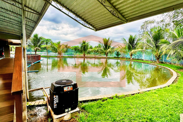 S&iacute;tio &agrave; venda - Rodovia Antonio Pedroso
