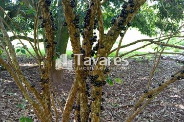 Ch&aacute;cara &agrave; venda - 5341m&sup2; - Jardim Aeroporto