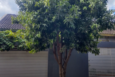 Casa &agrave; venda - 113m&sup2; - Sonho Meu