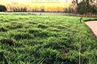 Ch&aacute;cara &agrave; venda - 20000m&sup2; - Estrada  Jaborandi