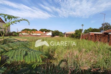 Terreno &agrave; venda - 650m&sup2; - JARDIM PORTO ALEGRE