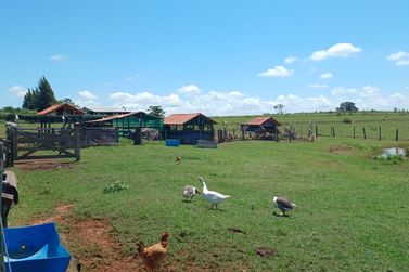 Ch&aacute;cara &agrave; venda - 20m&sup2; - Estrada Jaborandi