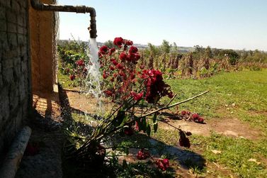 Ch&aacute;cara &agrave; venda - 20000m&sup2; - Jardim Aeroporto