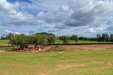 Ch&aacute;cara &agrave; venda - 40m&sup2; - -